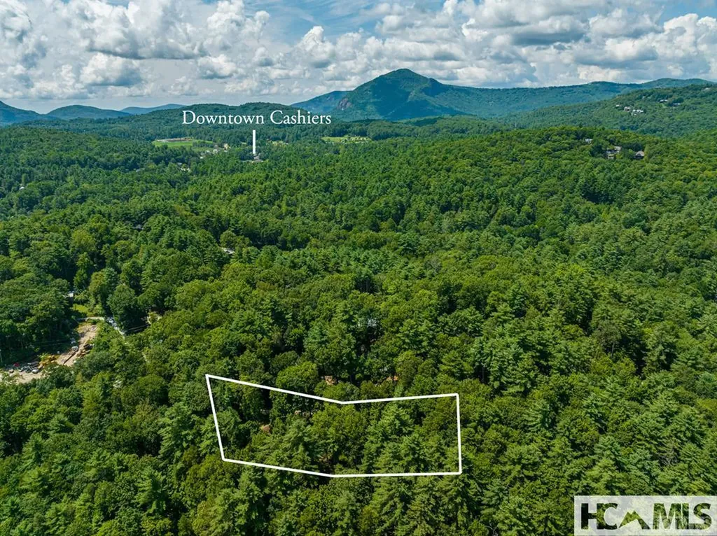 42 Tarragon Drive Cashiers NC 28717