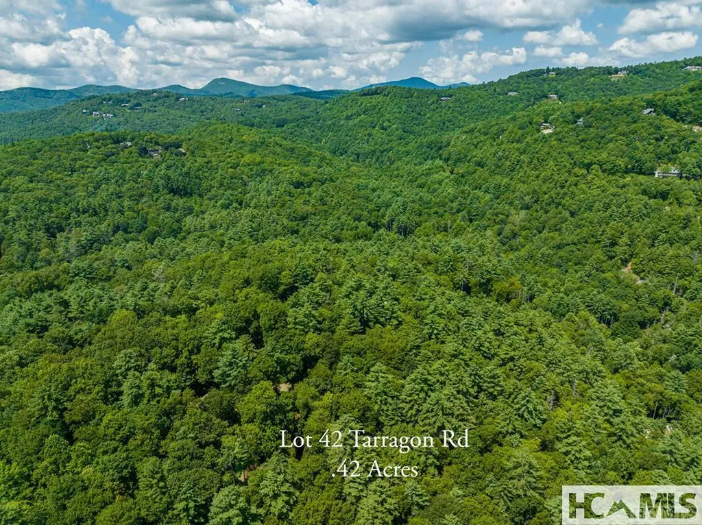42 Tarragon Drive Cashiers NC 28717