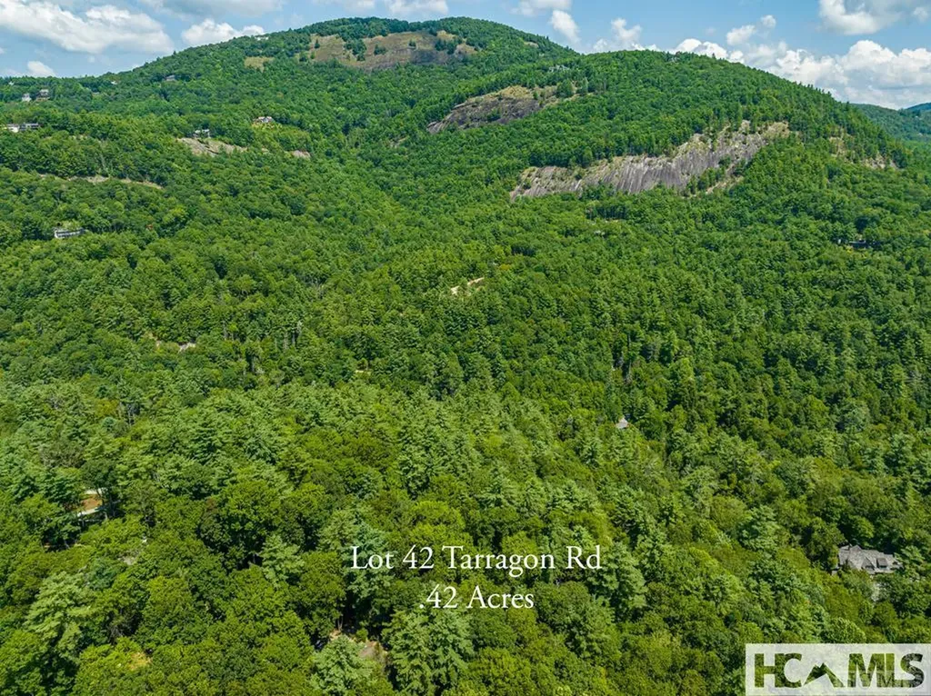 42 Tarragon Drive Cashiers NC 28717