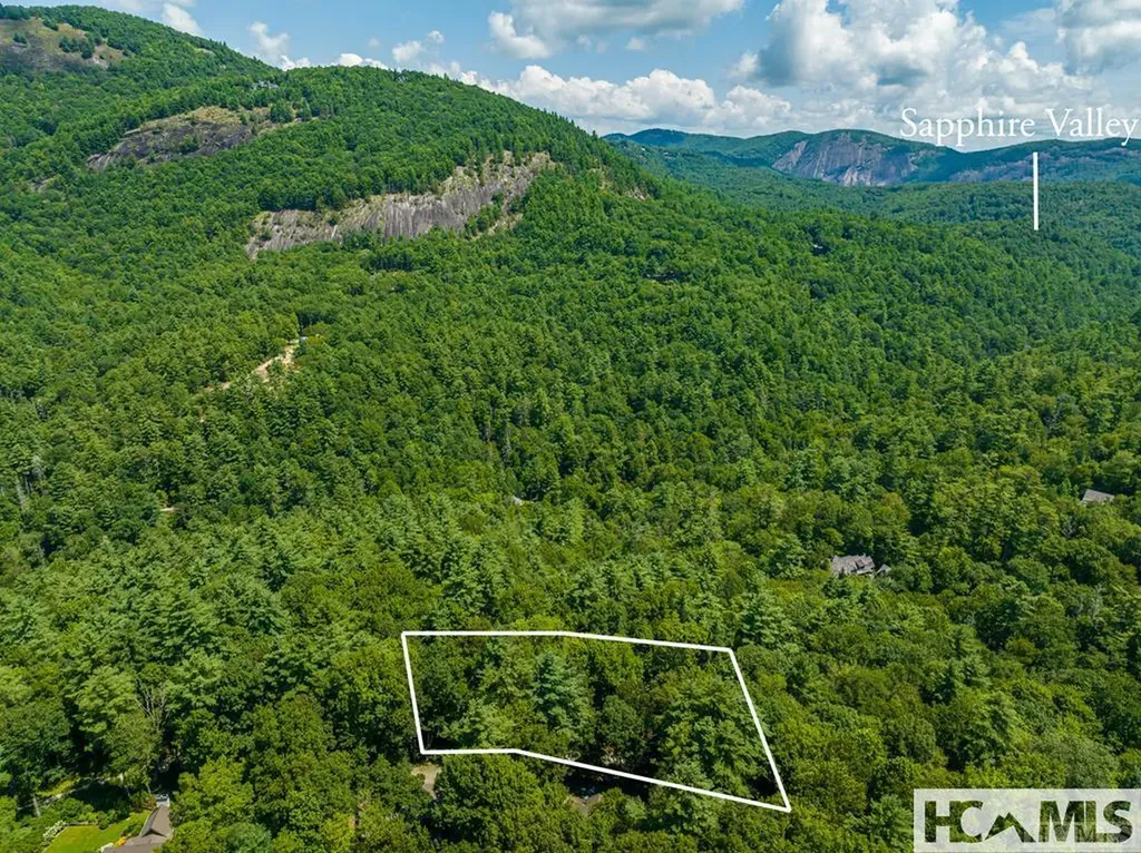 42 Tarragon Drive Cashiers NC 28717