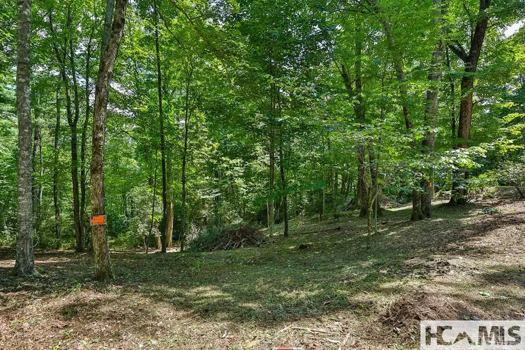 42 Tarragon Drive Cashiers NC 28717