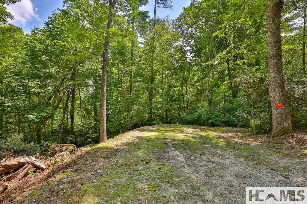 42 Tarragon Drive Cashiers NC 28717