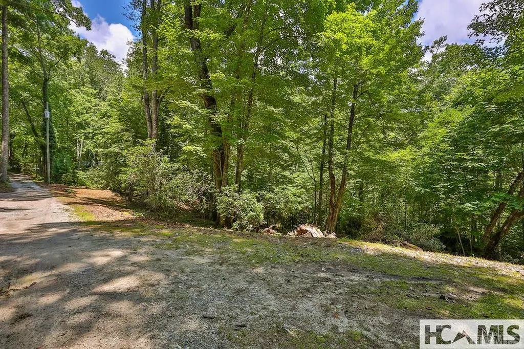 42 Tarragon Drive Cashiers NC 28717