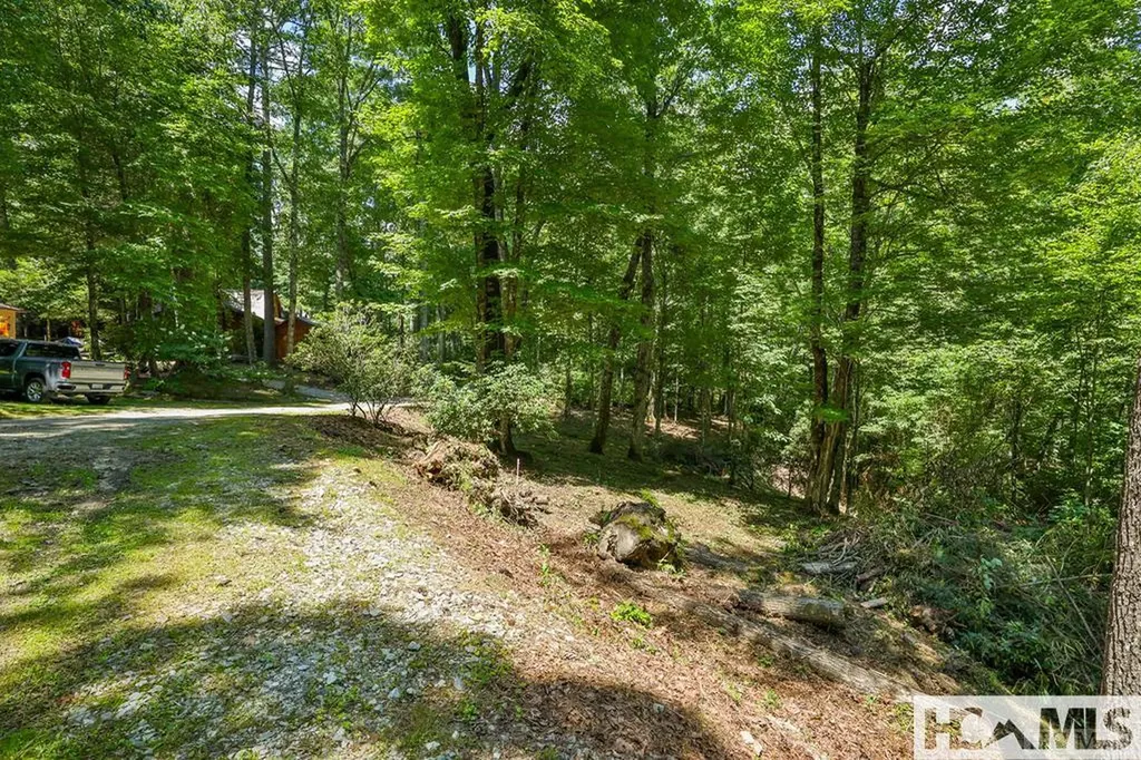 42 Tarragon Drive Cashiers NC 28717