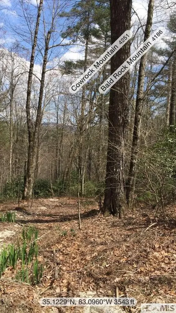 42 Tarragon Drive Cashiers NC 28717