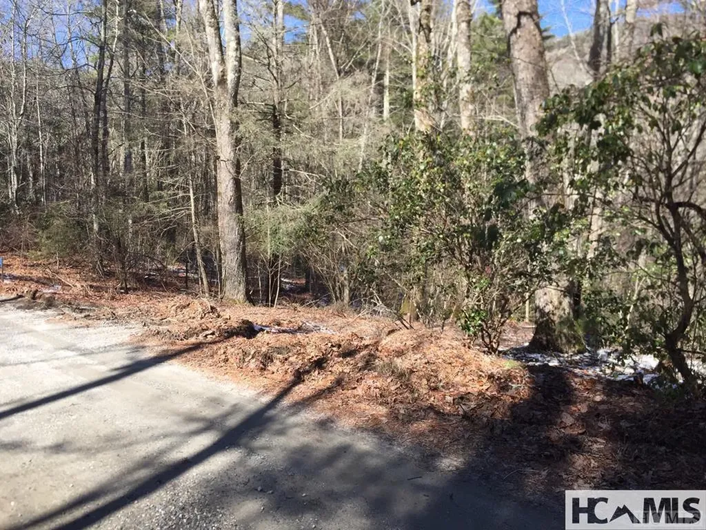 42 Tarragon Drive Cashiers NC 28717