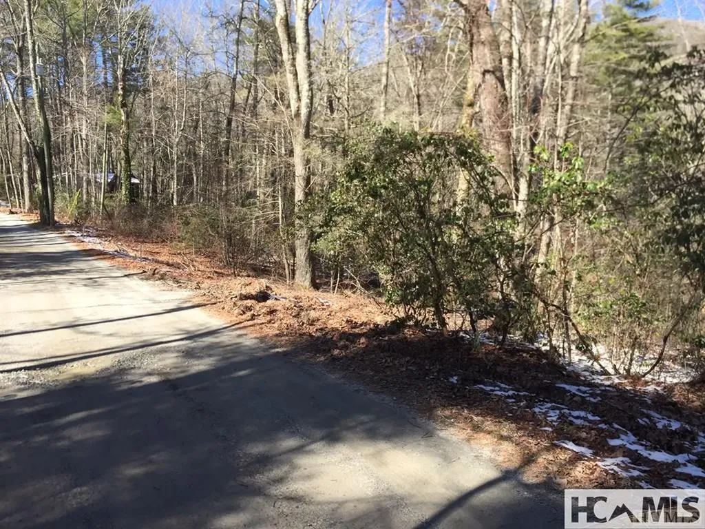 42 Tarragon Drive Cashiers NC 28717