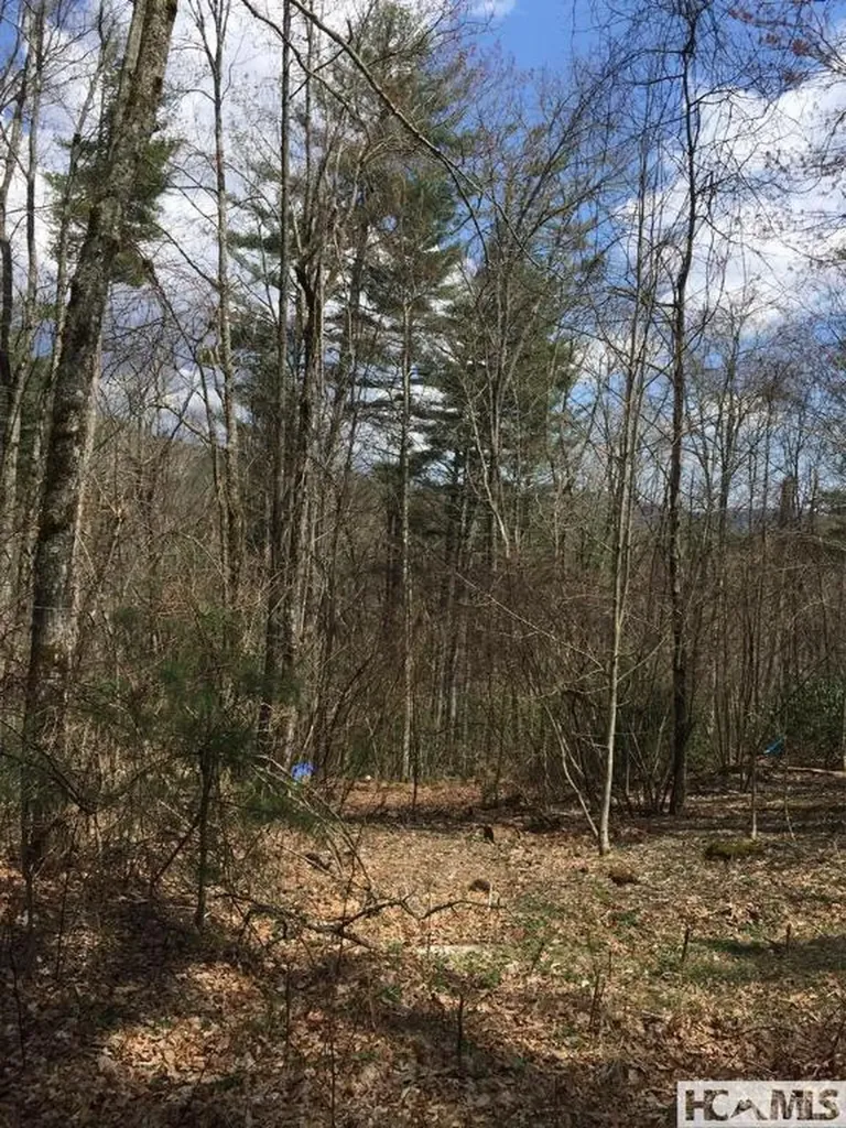 42 Tarragon Drive Cashiers NC 28717