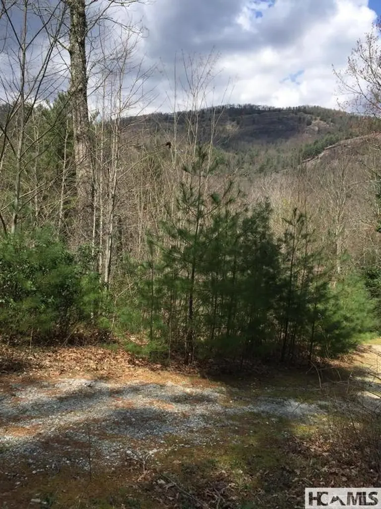 42 Tarragon Drive Cashiers NC 28717