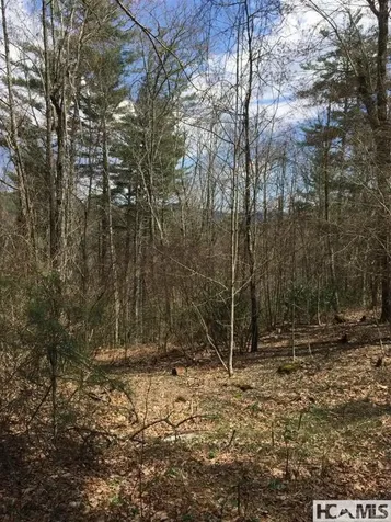 42 Tarragon Drive Cashiers NC 28717