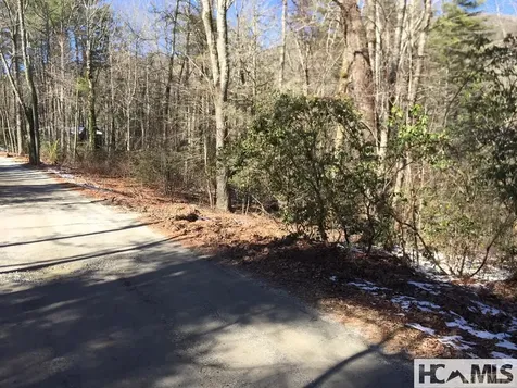 42 Tarragon Drive Cashiers NC 28717