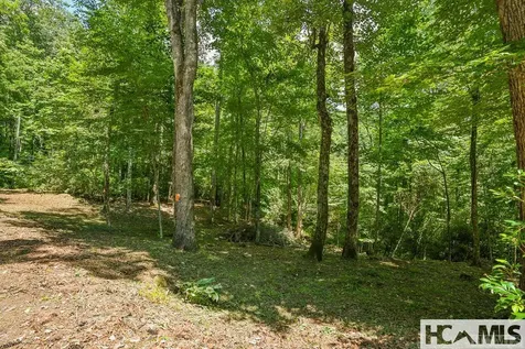 42 Tarragon Drive Cashiers NC 28717