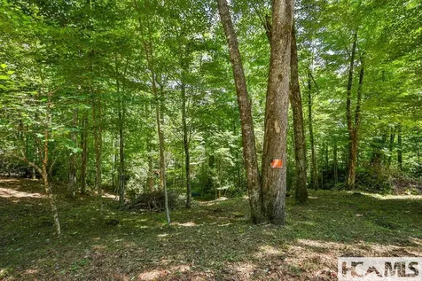 42 Tarragon Drive Cashiers NC 28717