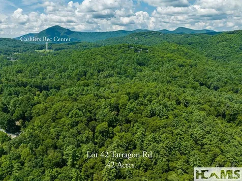 42 Tarragon Drive Cashiers NC 28717
