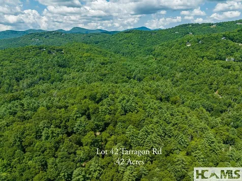 42 Tarragon Drive Cashiers NC 28717