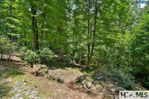 42 Tarragon Drive Cashiers NC 28717