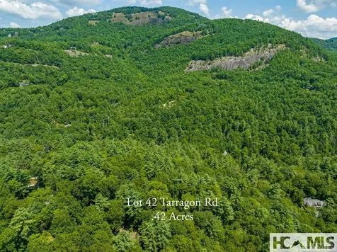 42 Tarragon Drive Cashiers NC 28717