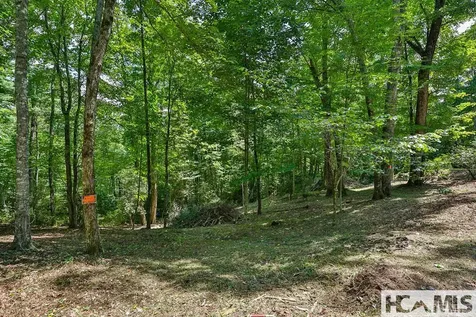 42 Tarragon Drive Cashiers NC 28717