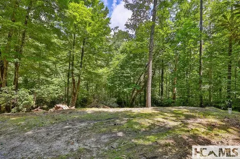 42 Tarragon Drive Cashiers NC 28717