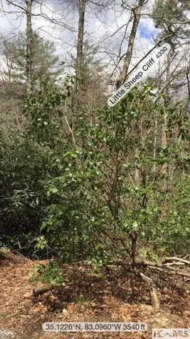 42 Tarragon Drive Cashiers NC 28717