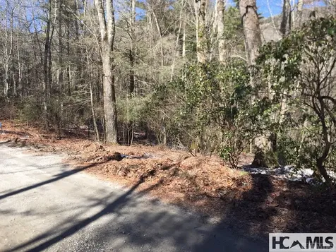 42 Tarragon Drive Cashiers NC 28717