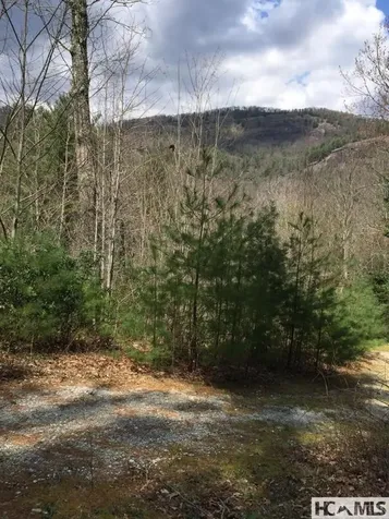 42 Tarragon Drive Cashiers NC 28717