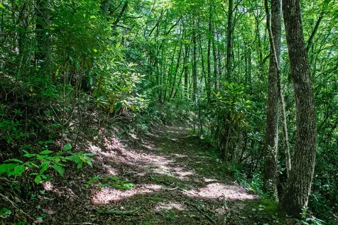 0000 N Robinson Creek Road Glenville NC 28736