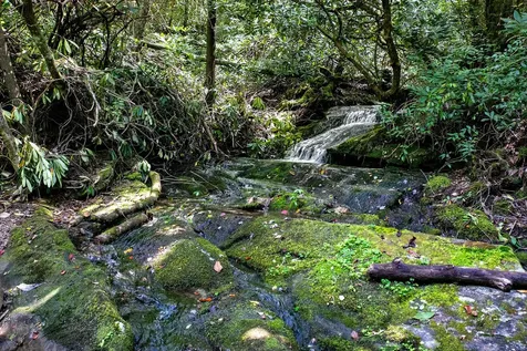 0000 N Robinson Creek Road Glenville NC 28736