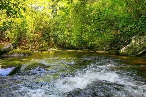 0000 N Robinson Creek Road Glenville NC 28736