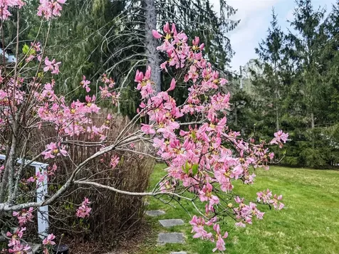 872 W Us 64 W Cashiers NC 28717