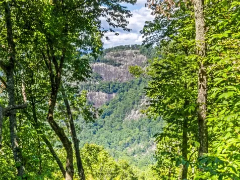 286 Hedgewood Drive Tuckasegee NC 28783