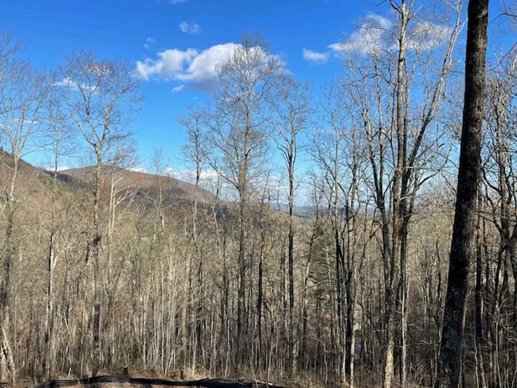 Lot 2 Frond Court Sapphire NC 28774