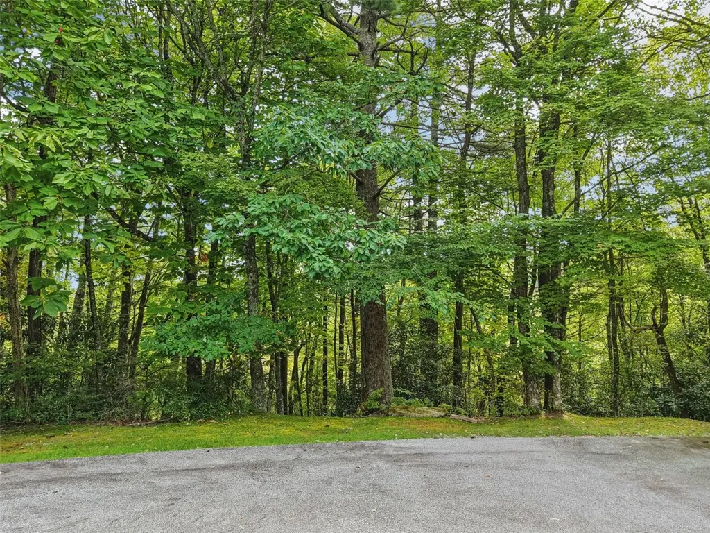 Tbd Lucy Lane Lake Toxaway NC 28747