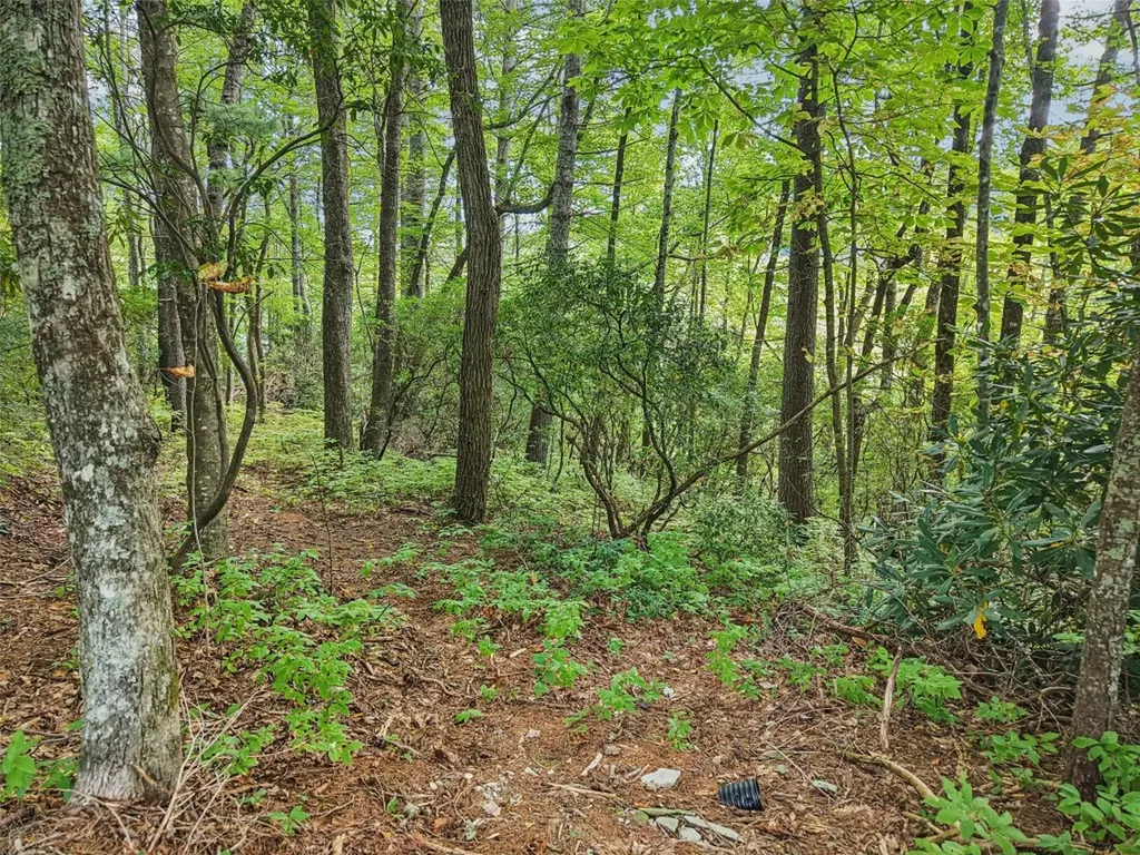 Tbd Lucy Lane Lake Toxaway NC 28747