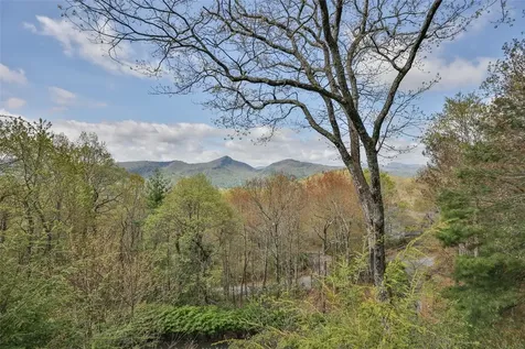 1620 Buckberry Drive Sapphire NC 28774