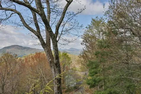 1620 Buckberry Drive Sapphire NC 28774