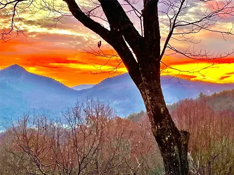 1620 Buckberry Drive Sapphire NC 28774