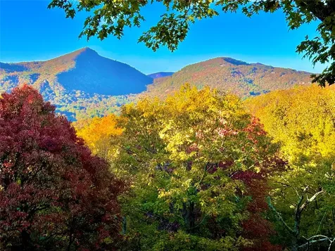 1620 Buckberry Drive Sapphire NC 28774