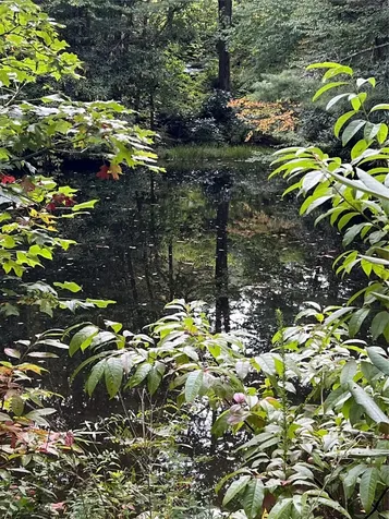 439 By Way Highlands NC 28741