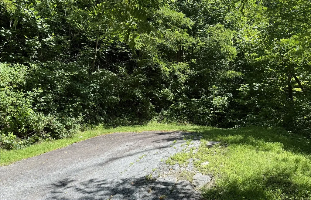 57 Mossy Cup Court Tuckasegee NC 28783