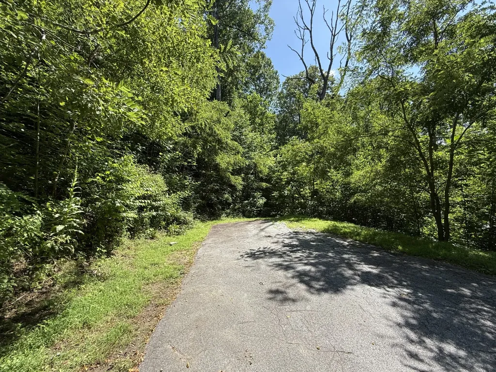 57 Mossy Cup Court Tuckasegee NC 28783