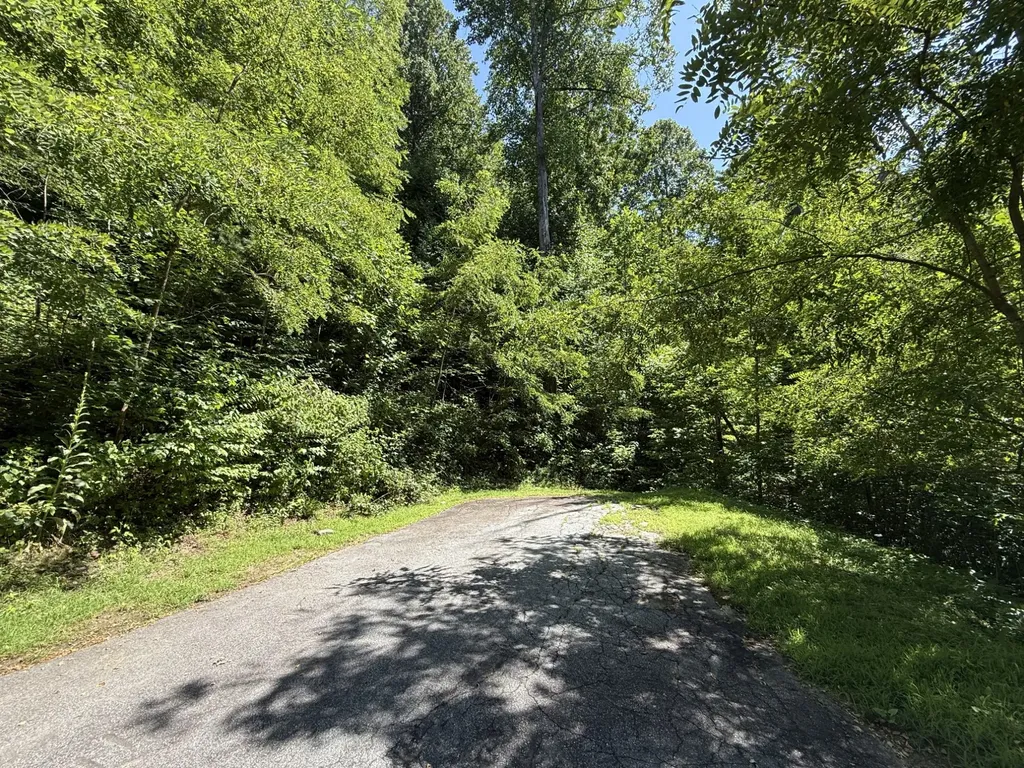 57 Mossy Cup Court Tuckasegee NC 28783