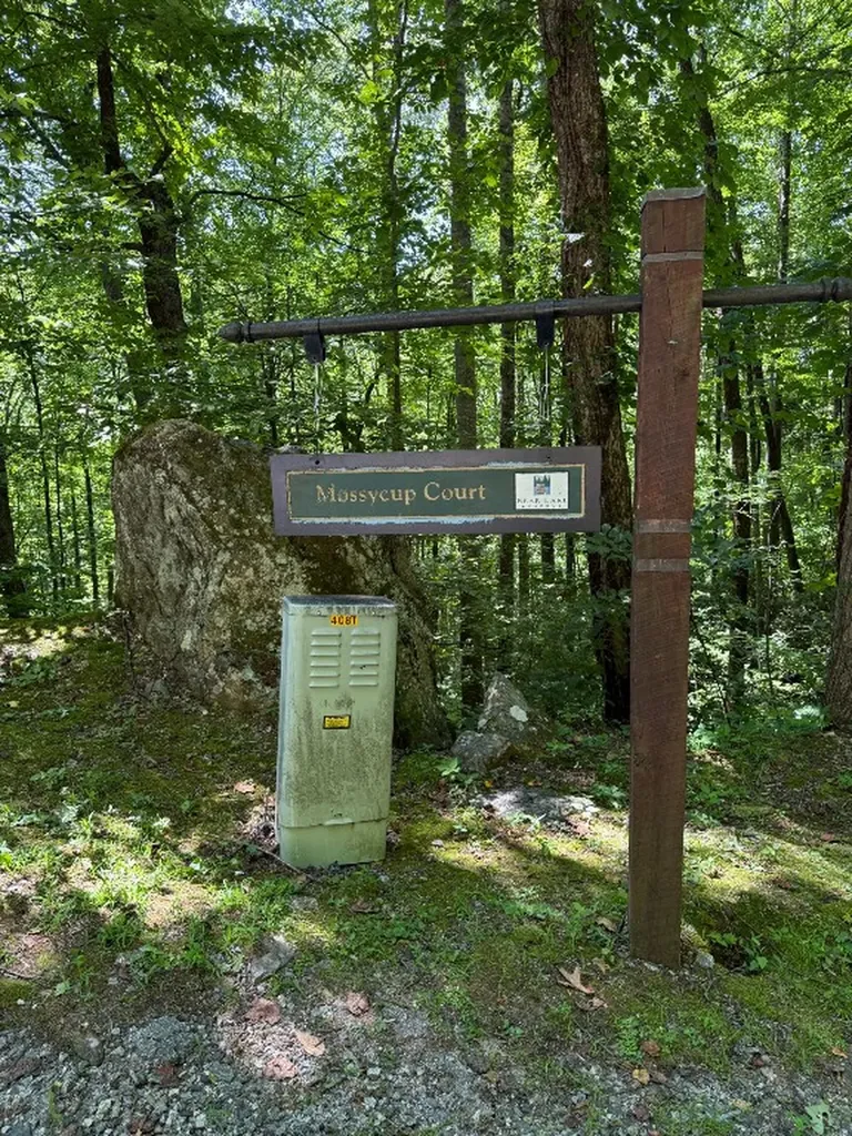 57 Mossy Cup Court Tuckasegee NC 28783