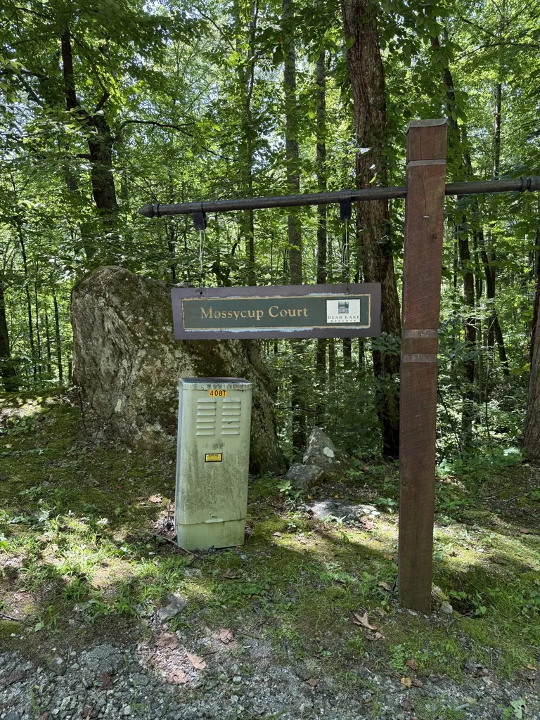 57 Mossy Cup Court Tuckasegee NC 28783