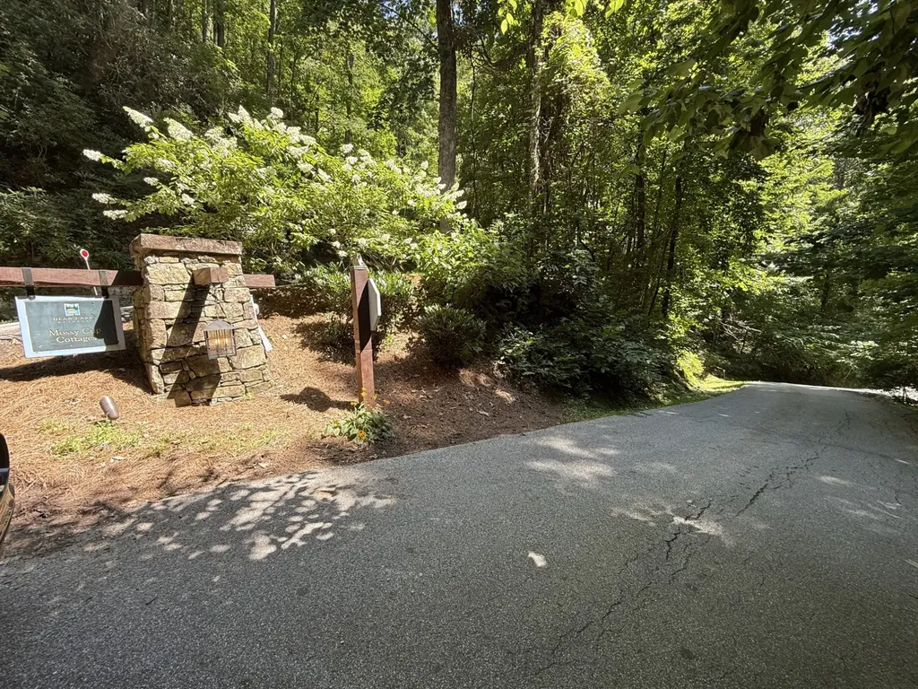 57 Mossy Cup Court Tuckasegee NC 28783