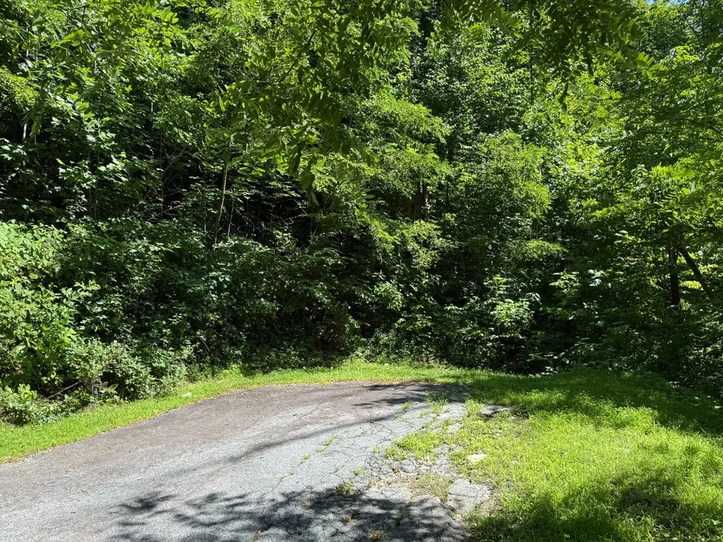 57 Mossy Cup Court Tuckasegee NC 28783