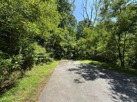 57 Mossy Cup Court Tuckasegee NC 28783