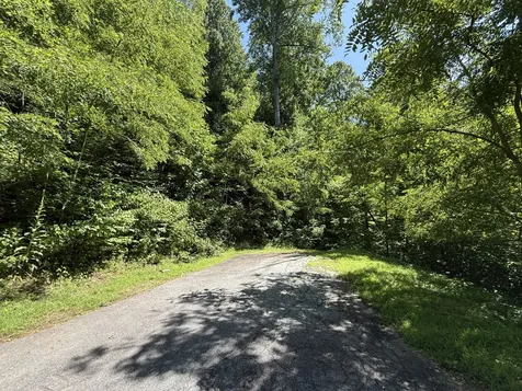 57 Mossy Cup Court Tuckasegee NC 28783