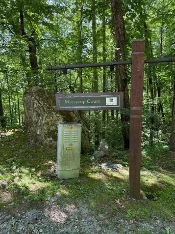 57 Mossy Cup Court Tuckasegee NC 28783