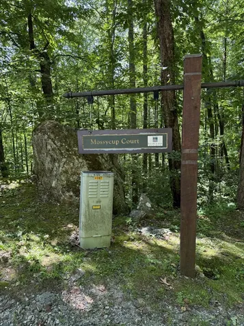 57 Mossy Cup Court Tuckasegee NC 28783